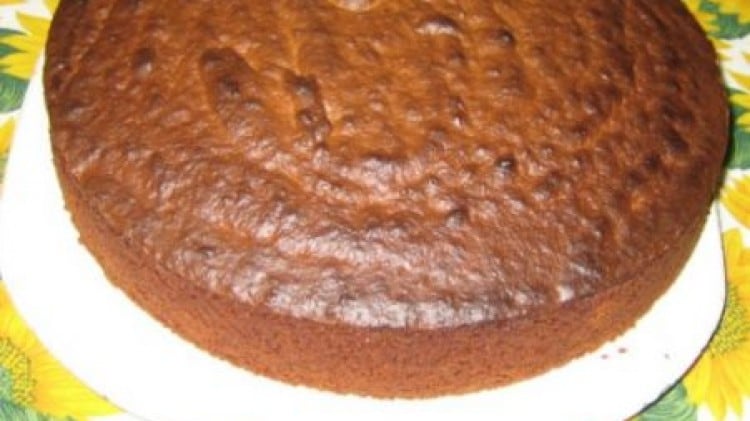 Torta al cioccolato e cocco