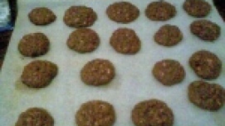 Biscotti d'avena e cacao