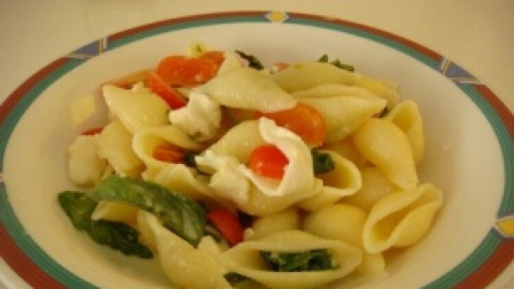 Conchiglie tricolore