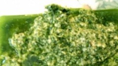 Bagnèt - Bagnetto verde piemontese