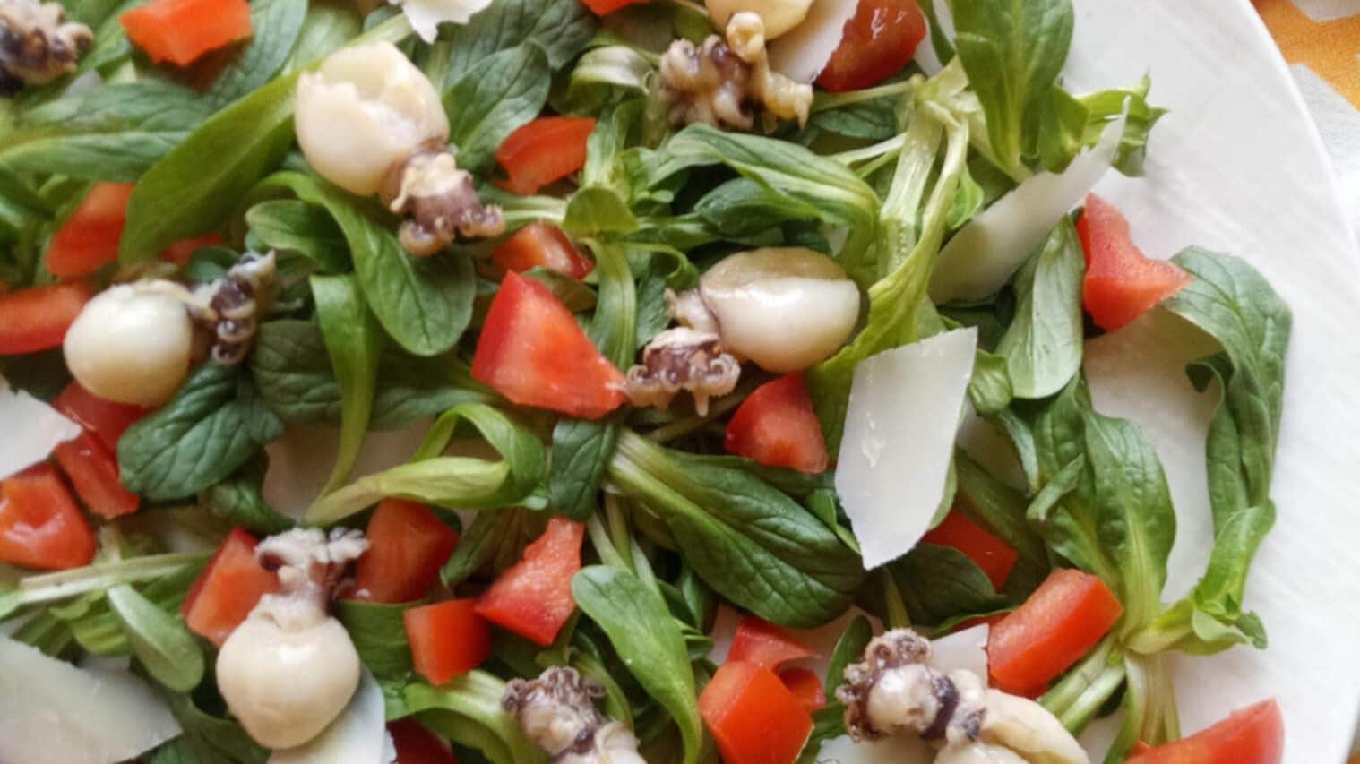 Insalata con Soncino seppioline e grana