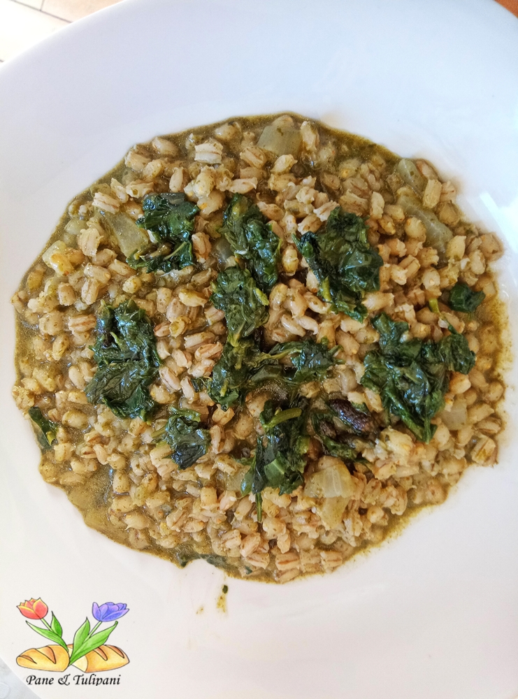 Orzotto alle erbe di campo