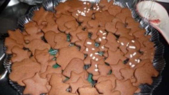 Biscotti al cioccolato e cacao