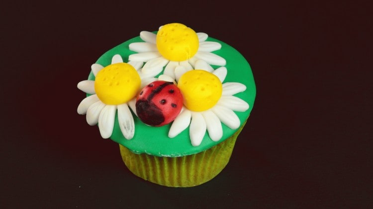 Cupcake margherita con coccinella