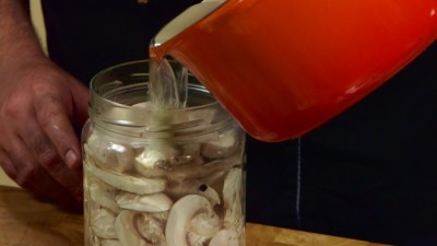 Champignon al naturale