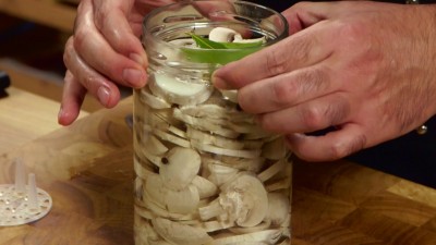 Champignon al naturale