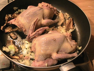 Piccione ripieno: le Vostre ricette | Cookaround