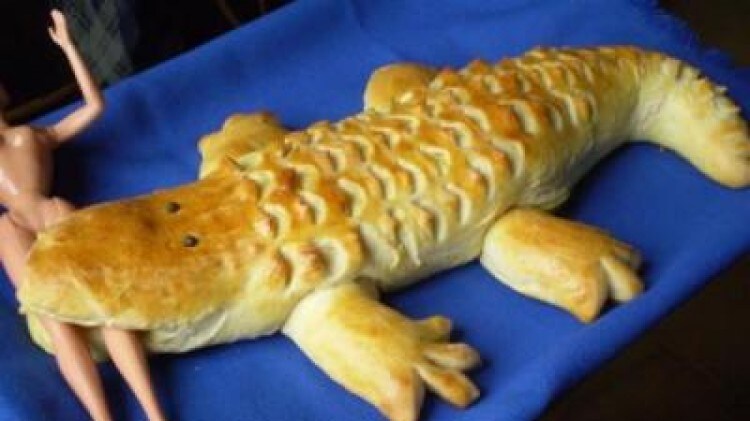 Il coccodrillo