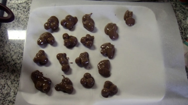 Cioccolatini con nocciole e mandorle