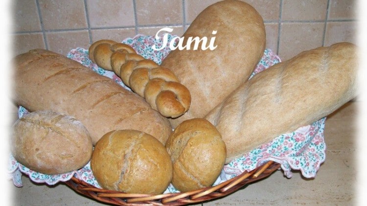 Pane e panini integrali