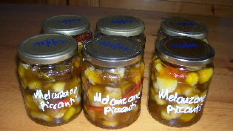 Melanzane piccanti