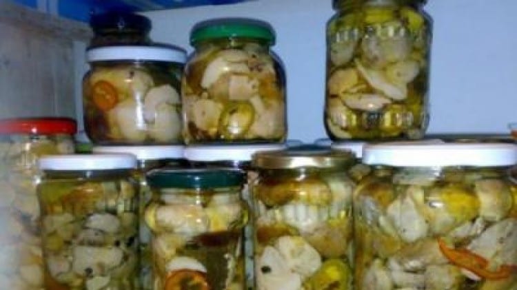 Porcini sott'olio