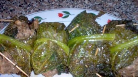 Involtini di verza con ripieno di carne