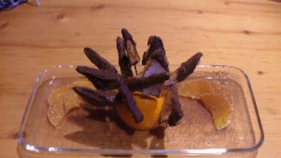 Crostini di gorgonzola e cioccolato
